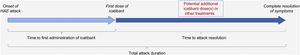 Treatment-related time-to-event effectiveness outcomes. Adapted from: Maurer M, et al.28. HAE, Hereditary Angioedema.