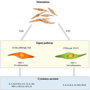 Role of mesenchymal stem cells in the pathogenesis of psoriasis.