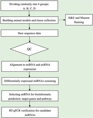 miRNA-seq experiment workflow.