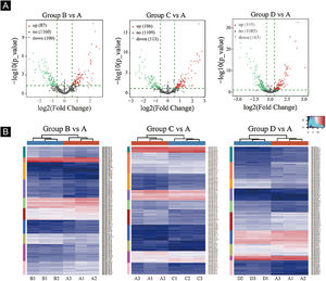 Differentially expressed miRNA screening. (A), The volcano plots. Red circles indicate statistically up-regulated expression, green circles indicate down-regulated, and grey circles indicate non-differentially expressed miRNAs. (B), The hierarchical clustering heatmap for miRNAs. The color scale is show below: blue represents an expression level below the mean, and red represents an expression lever above the mean.