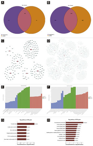 Bioinformatic Prediction. (A-B), Venn diagram. (C), The up-regulated miRNA network analysis. (D), The downregulated miRNA network analysis. The general GO annotations for cellular component, molecular function, and biological processes of the target genes regulated by the up-regulated miRNAs (E) and downregulated miRNAs (F). KEGG pathway analysis of the target genes regulated by the up-regulated miRNAs (G) and downregulated miRNAs (H).