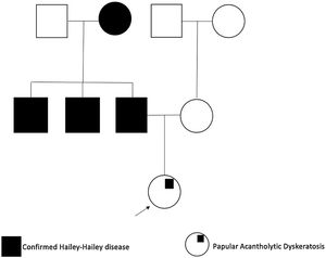 Family pedigree showing patient relatives with HHD confirmed diagnosis.