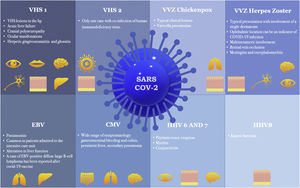 Manifestations of herpesvirus infections associated with COVID-19. VHS-1, Herpes Simplex Virus Type-1; VHS-2, Herpes Simplex Virus Type-2; VVZ, Varicella-Zoster Virus; EBV, Epstein-Barr Virus; CMV, Cytomegalovirus; HHV-6, Herpes Virus-6; HHV-7, Herpes Virus-7; HHV8, Herpes Virus-8.