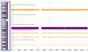 Microarray result displays for chromosome 2