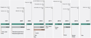 Chronology of fourteen human-infecting PyV species discovered since 1971. Source: adapted from Prado J, et al. 2018.18