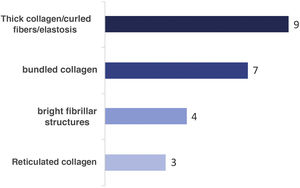 Terms used in RCM to describe different aspects of collagen in the papillary dermis and number of participants using each term
