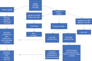 Conduct in cases of immunobiological use and hepatitis B. Adapted source: Romiti R, et al. 2020.6