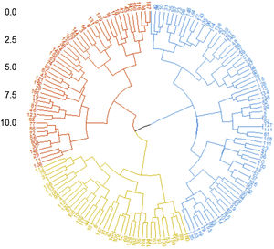 Unsupervised hierarchical analysis tree of DM patients. Hierarchical clustering analysis of 162 DM patients revealed three main clusters (cluster 1: yellow, cluster 2: blue, cluster 3: red). The Euclidean distance and Ward agglomeration methods were used to generate the dendrogram.