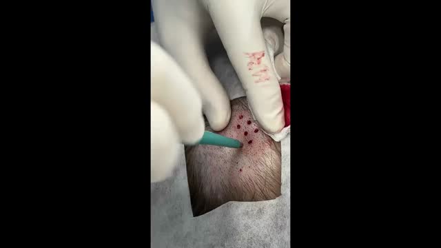 https://ars.els-cdn.com/content/image/1-s2.0-S0365059624000333-mmc4.mp4