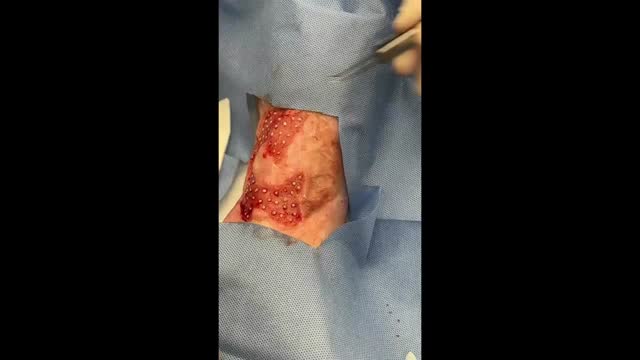 https://ars.els-cdn.com/content/image/1-s2.0-S0365059624000333-mmc6.mp4