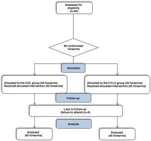 CONSORT flowchart of the study.