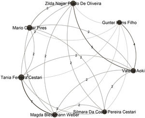 Top authors of the fourth largest community, comprising 350 authors, are associated with different institutions: Universidade Federal de São Paulo, Universidade Federal do Rio Grande do Sul, Universidade Federal do Mato Grosso do Sul, Universidade Federal de Ciências da Saúde de Porto Alegre, Hospital Sı́rio Libanês, and Hospital do Servidor Público Estadual de São Paulo.