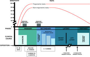 Schematic diagram of the clinical and laboratory course of untreated acquired syphilis. Adapted from: Clinical Protocol and Therapeutical Guidelines for Comprehensive Care for People with Sexually Transmitted Infections (STIs), Ministry of Health, Brazil, 2021.