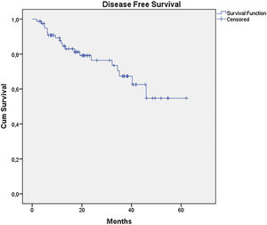 Kaplan-Meier disease free survival curves for acral melanoma submitted a sentinel lymph node biopsy.
