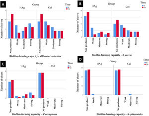 Classification of bacteria strains that form biofilm. (A) Classification of all bacteria strains evaluated together (S. aureus, P. aeruginosa, and S. epidermidis). (B) The capacity of the S aureus to form biofilm. (C) The capacity of the bacteria P. aeruginosa to form biofilm. (D) The capacity of the bacteria S epidermidis to form biofilm. There was a reduction in the rate of ulcers with biofilm-forming bacteria from T0 to T30 (p = 0.047), but there was no statistically significant difference between the groups at T30 (p = 0.558).