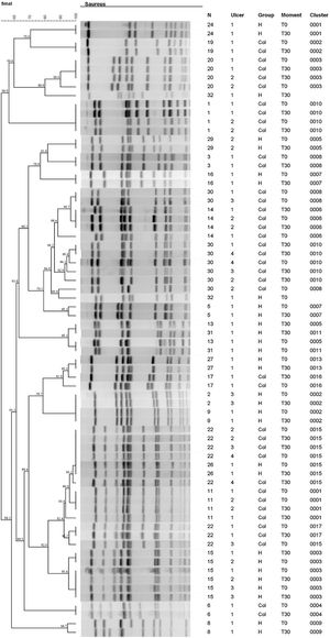 Dendrogram of genetic similarity of ulcers with S aureus. The RR to have S. aureus with a change in the identity is 0.58 (95% CI 0.10–3.31; p = 0.553).
