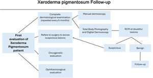 Fluxogram of the xeroderma pigmentosum patients.