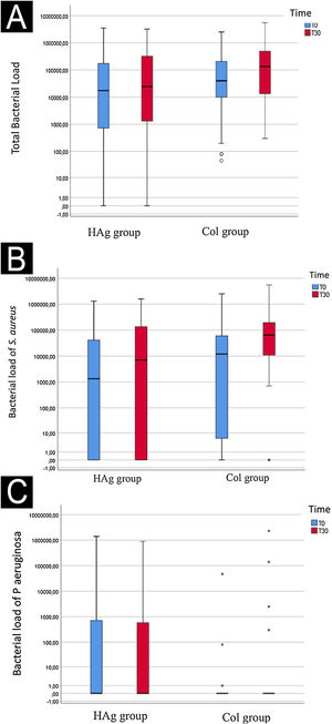 Log of the bacterial load (CFU/cm2) of the total evaluated species (A), S aureus (B), and P. aeruginosa (C) at baseline (T0) and after 30-days (T30), in the ulcers of the Hydrofiber with silver (HAg) and Collagenase (Col) group. The bacterial load over time (mean before vs. mean after) had a marginal significance (p = 0.054); however, it did not differ between the groups (p = 0.113).
