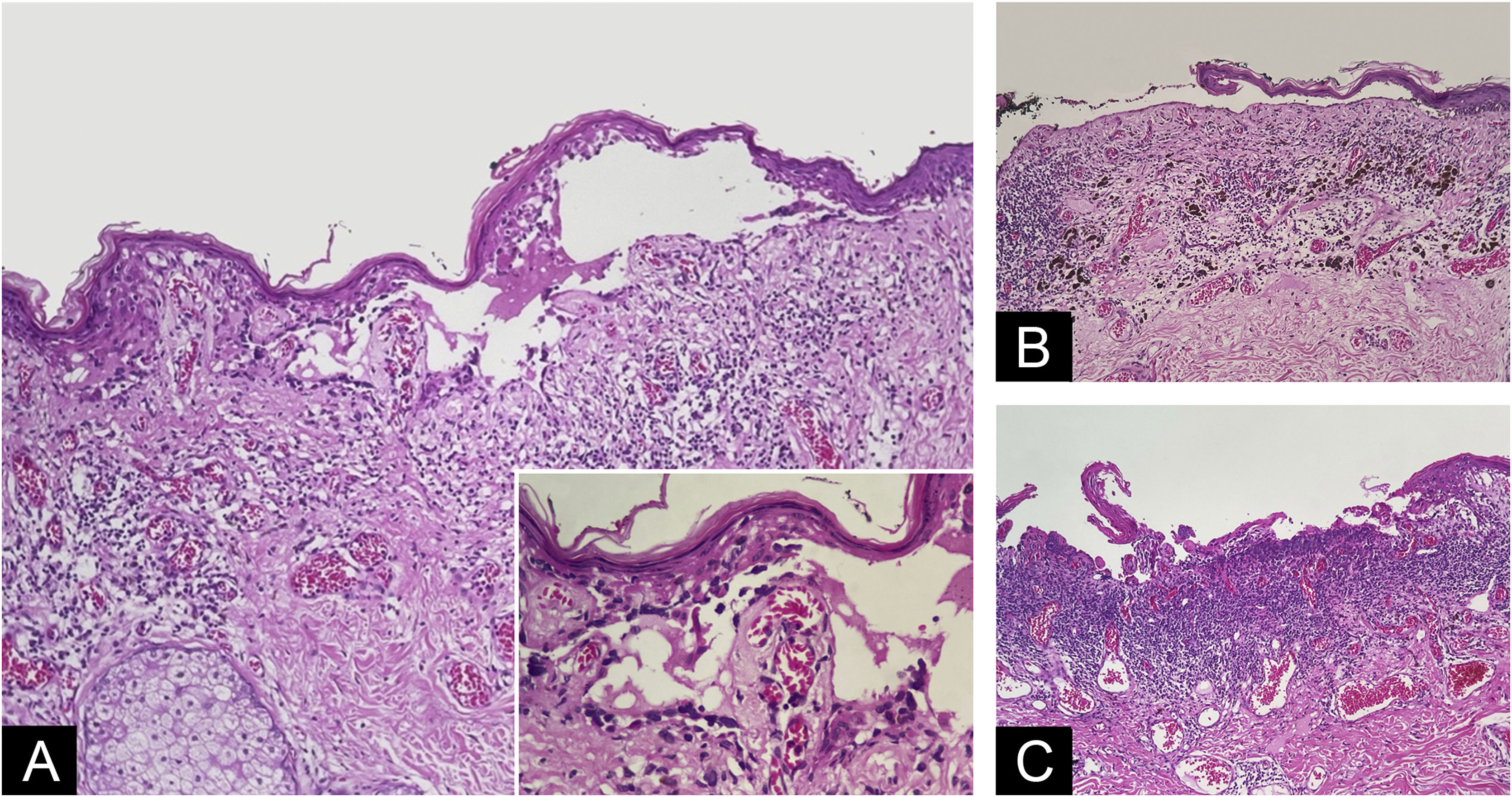 fig0015