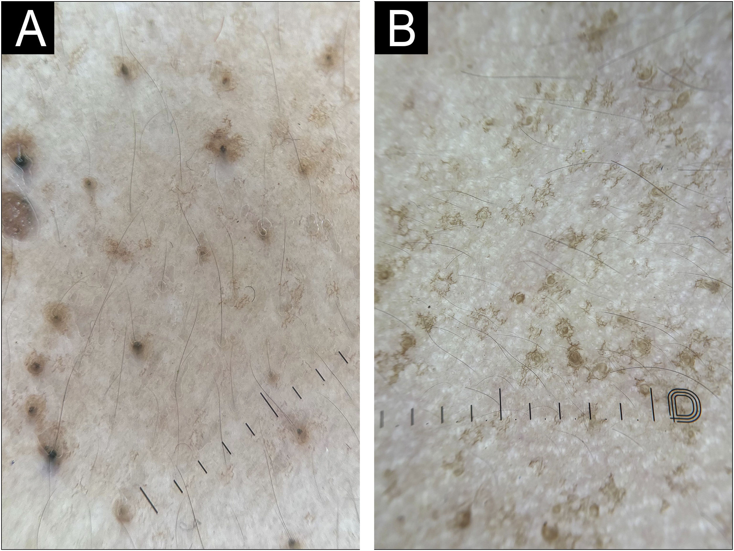 fig0010