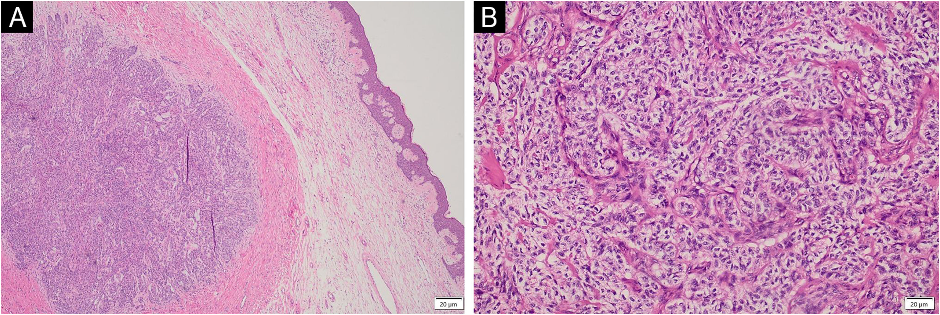 fig0010