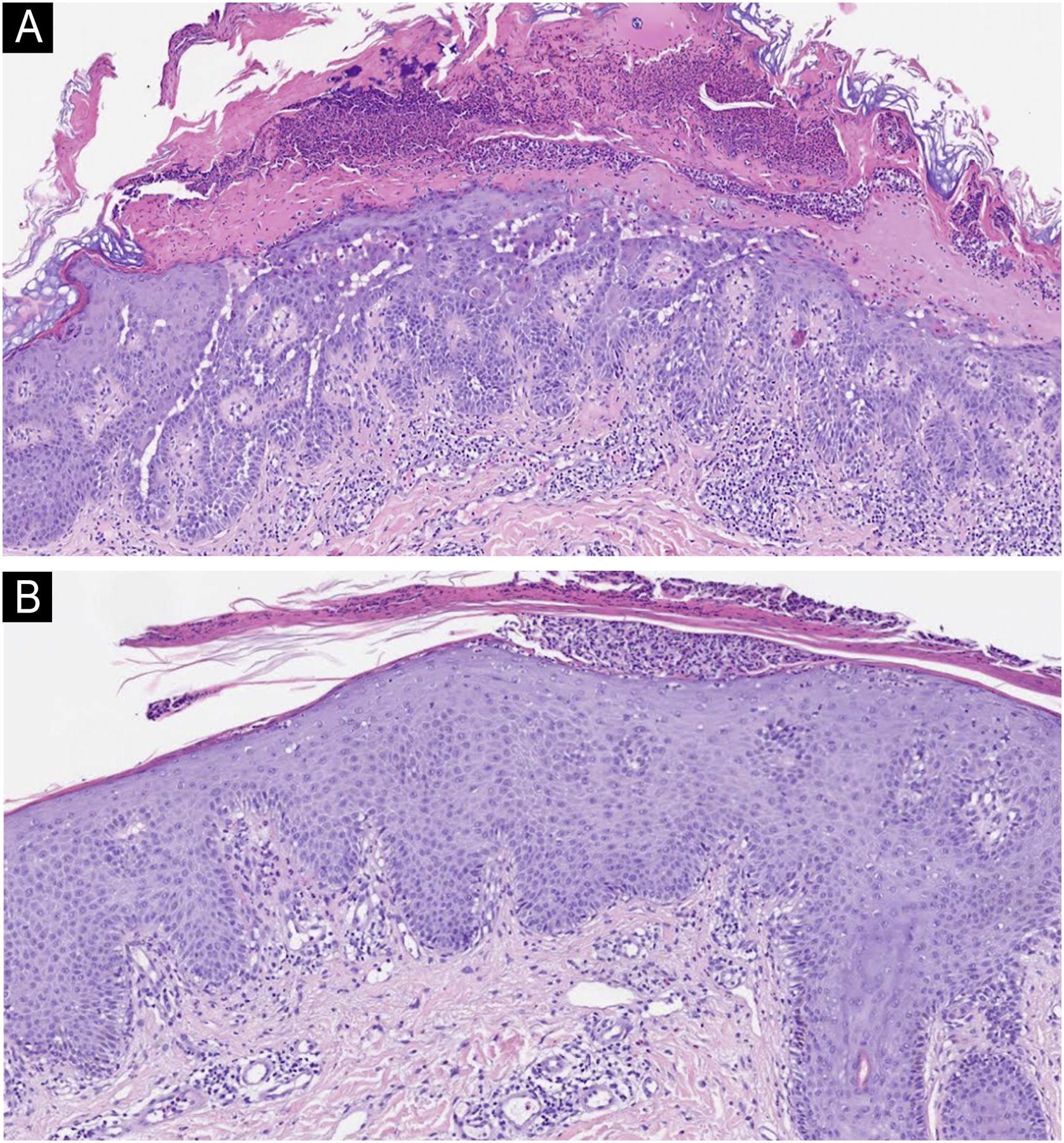 fig0010