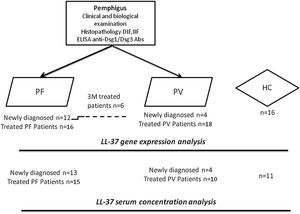 Flowchart for the studied groups. DIF, Direct Immunofluorescence; Dsg, Desmoglein; IIF, Indirect Immunofluorescence; PF, Pemphigus Foliaceus; PV, Pemphigus Vulgaris; HC, Healthy Control.