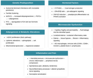 Pathogenic cascade of lipedema.