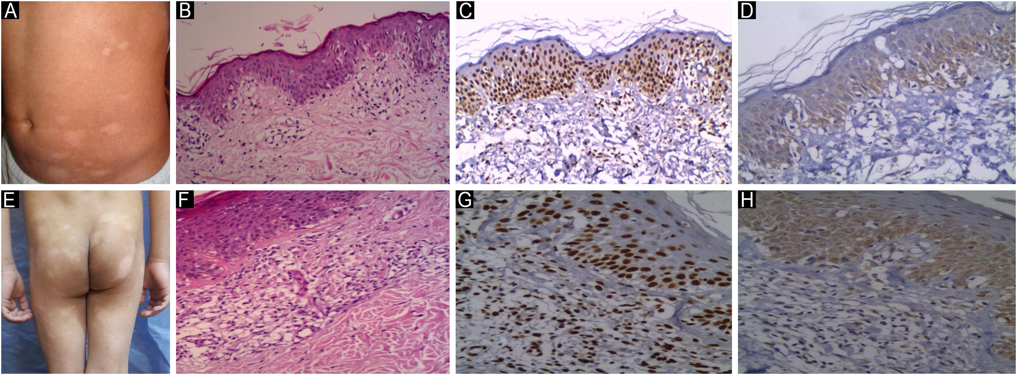 fig0025