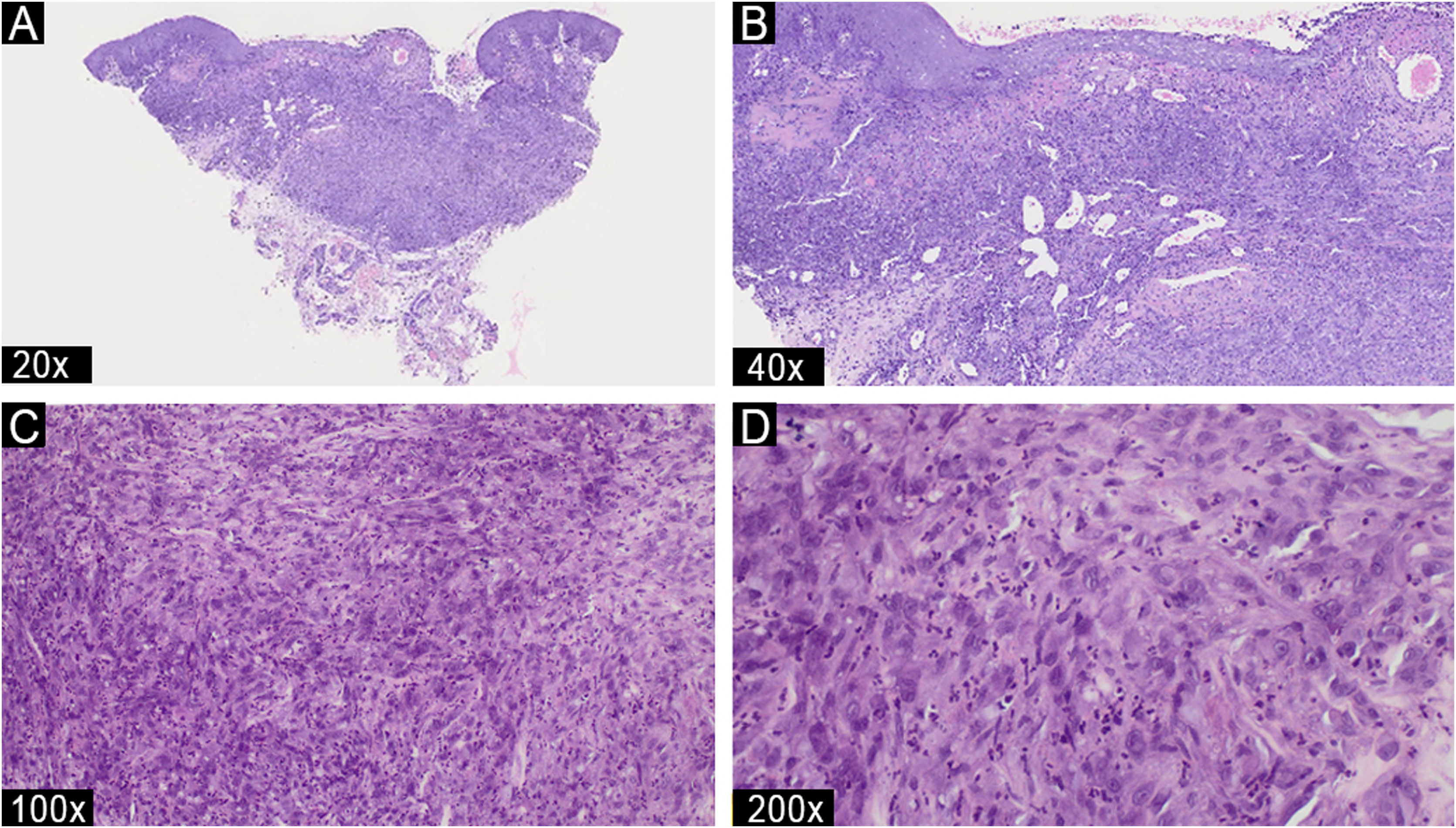 fig0010