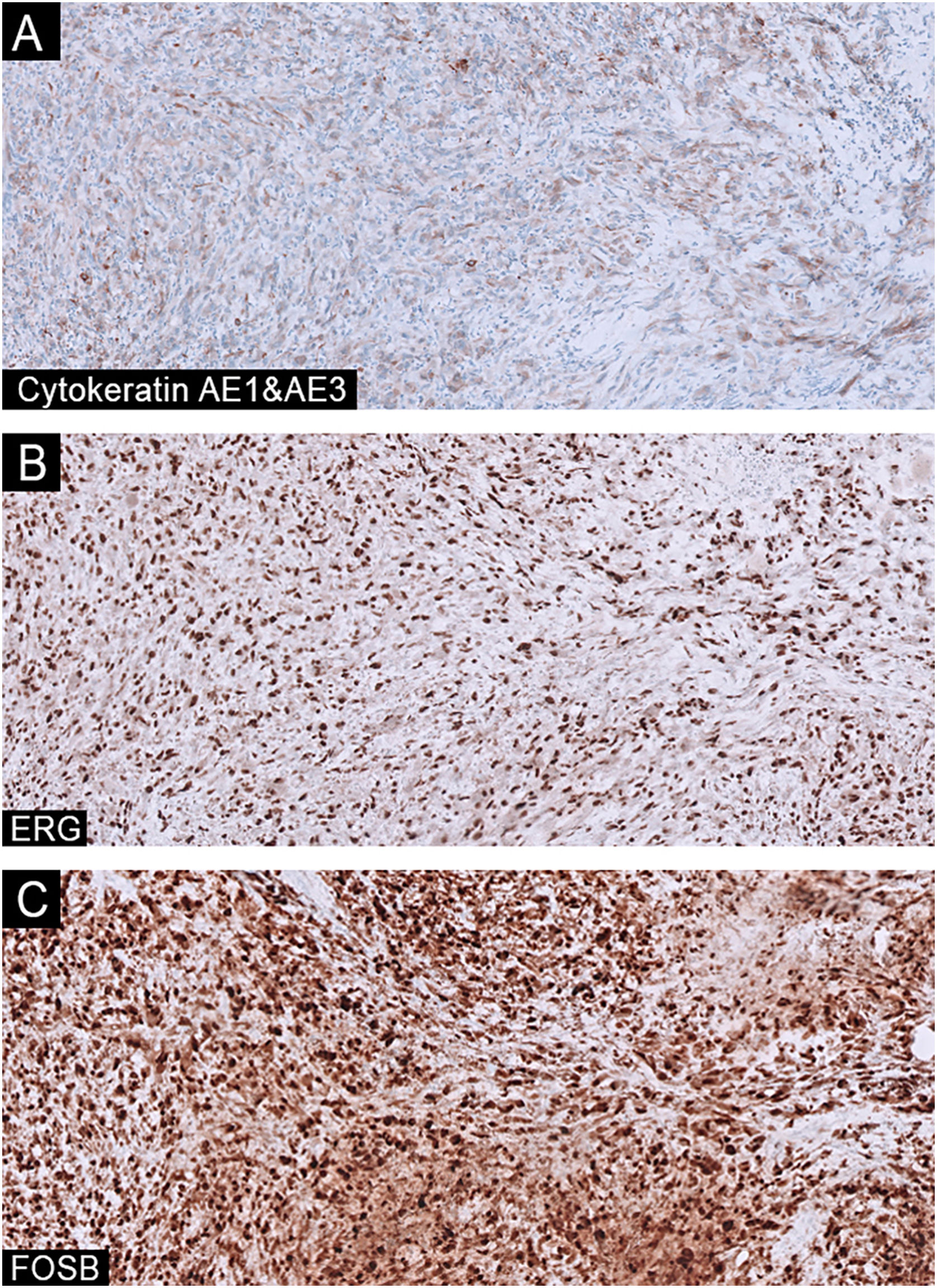 fig0015