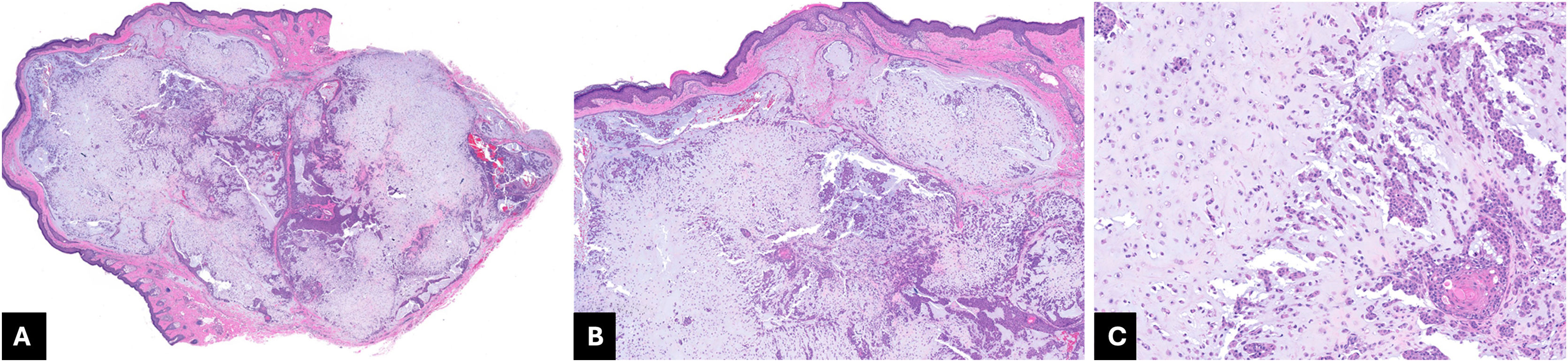 fig0020