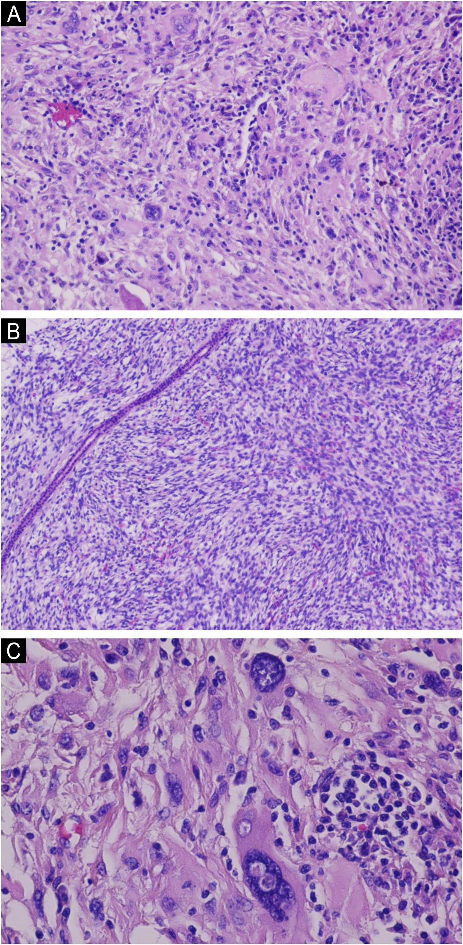 fig0010