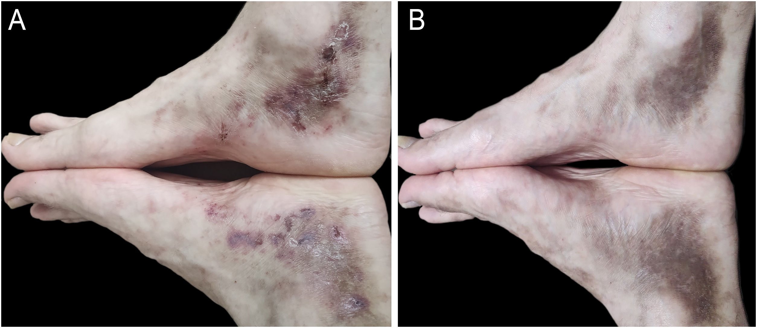 fig0005