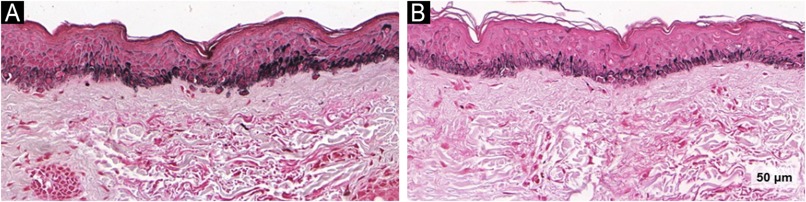 fig0015