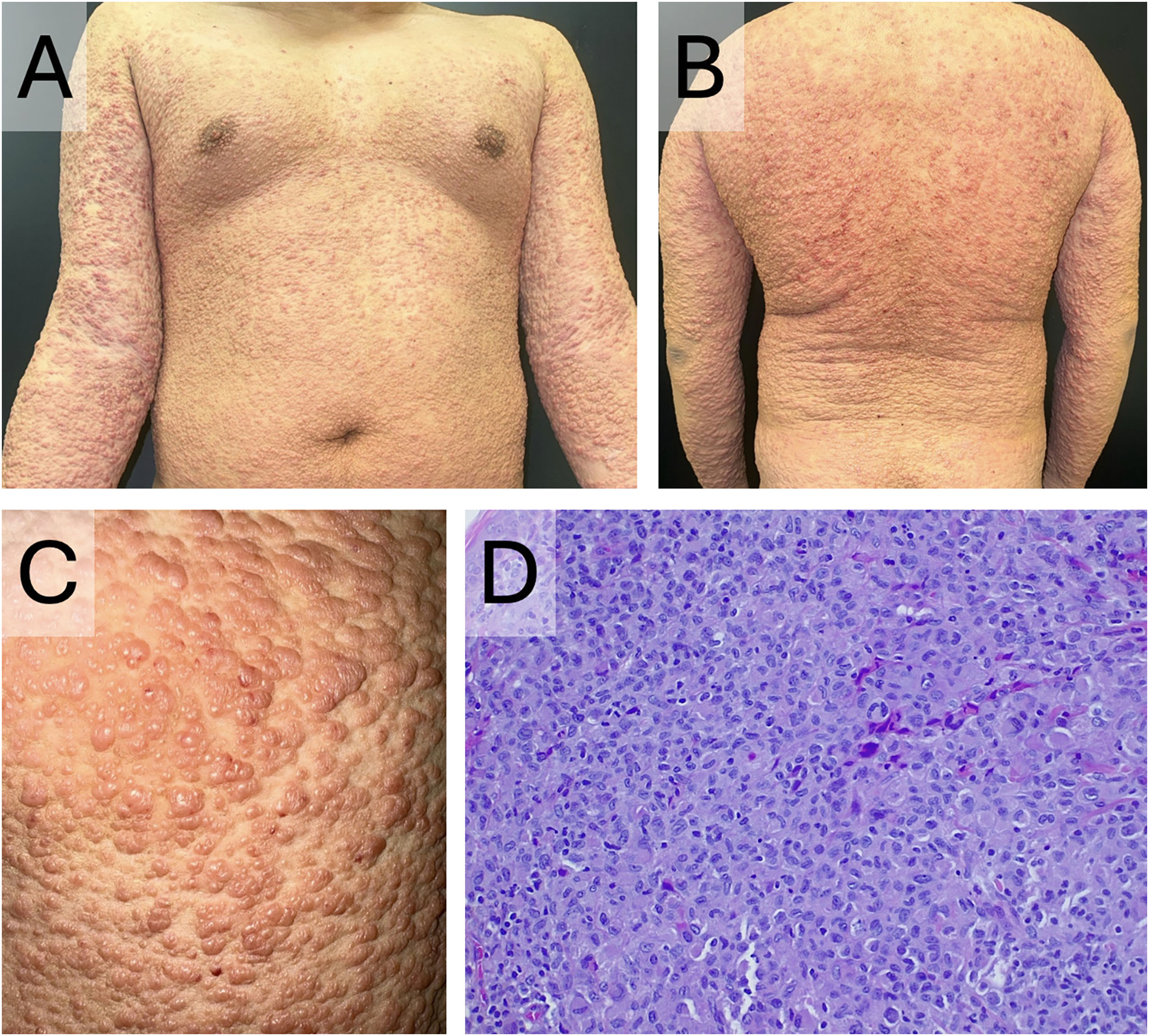 fig0005