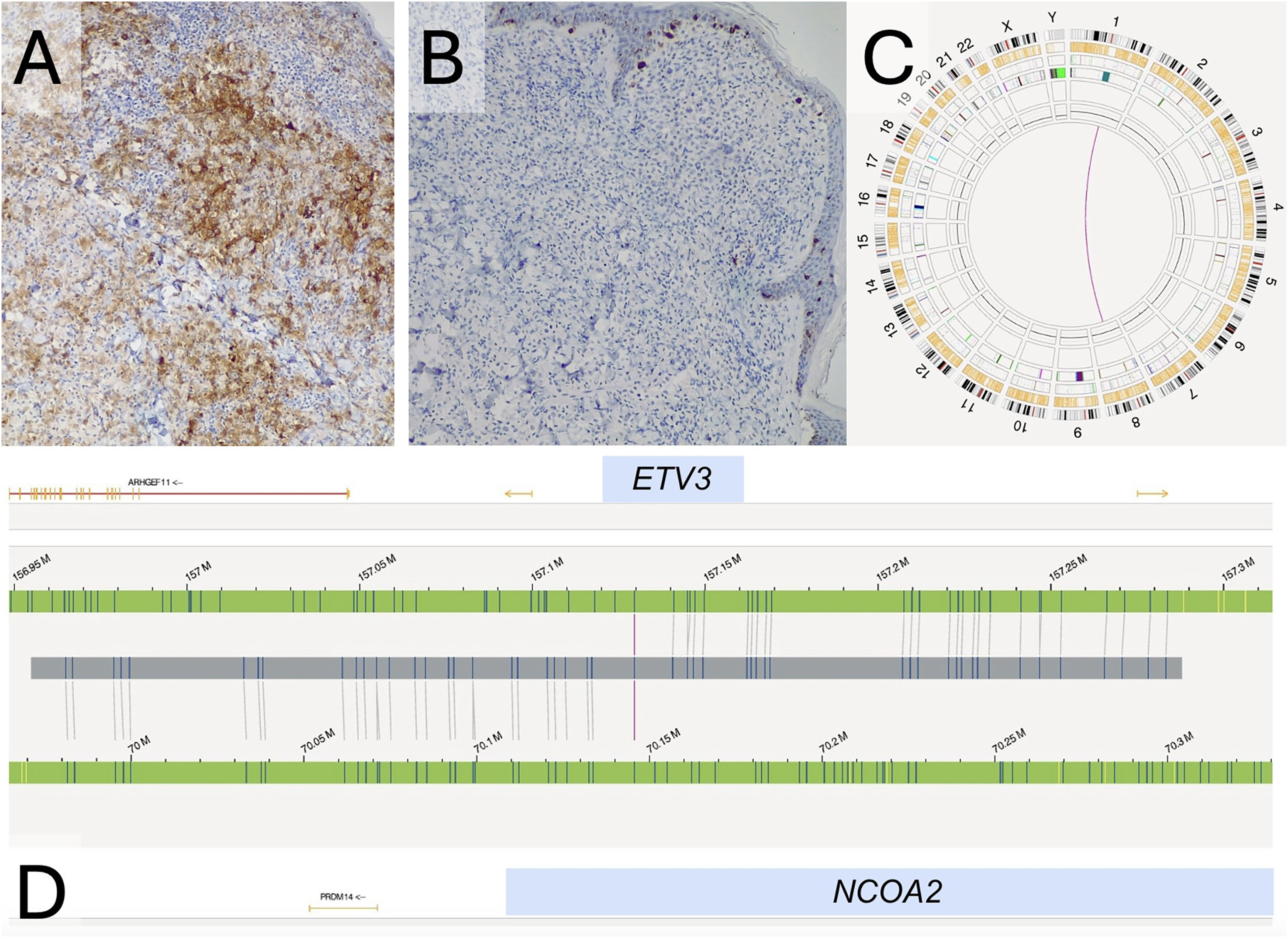fig0010