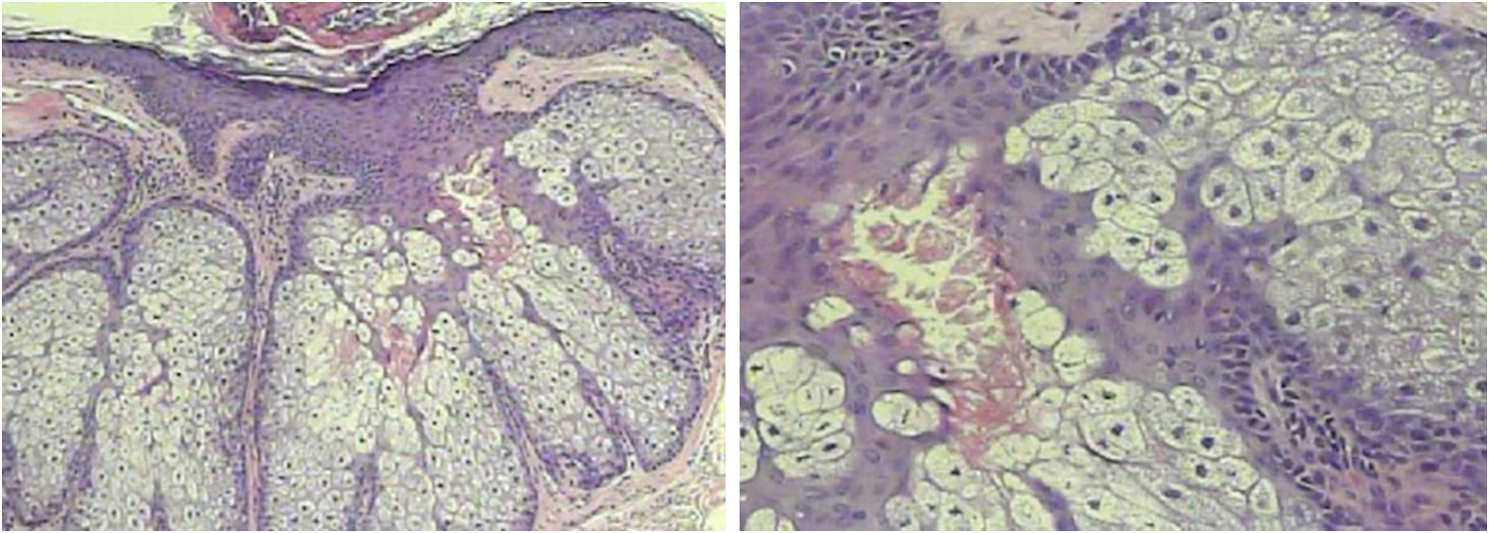 fig0010