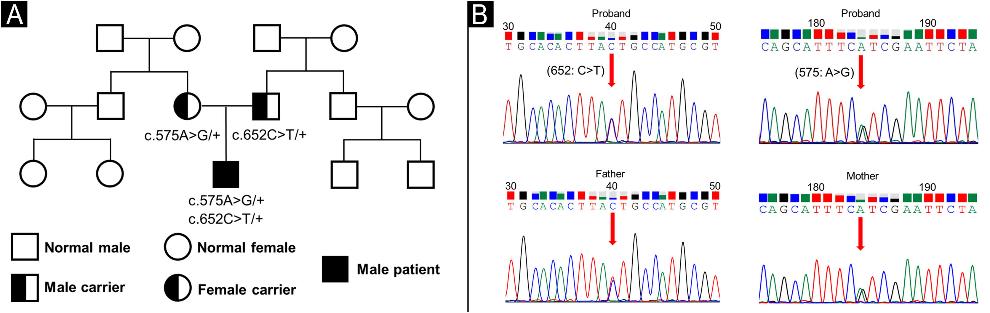 fig0020