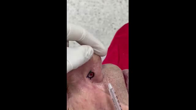 https://ars.els-cdn.com/content/image/1-s2.0-S0365059626000796-mmc1.mp4