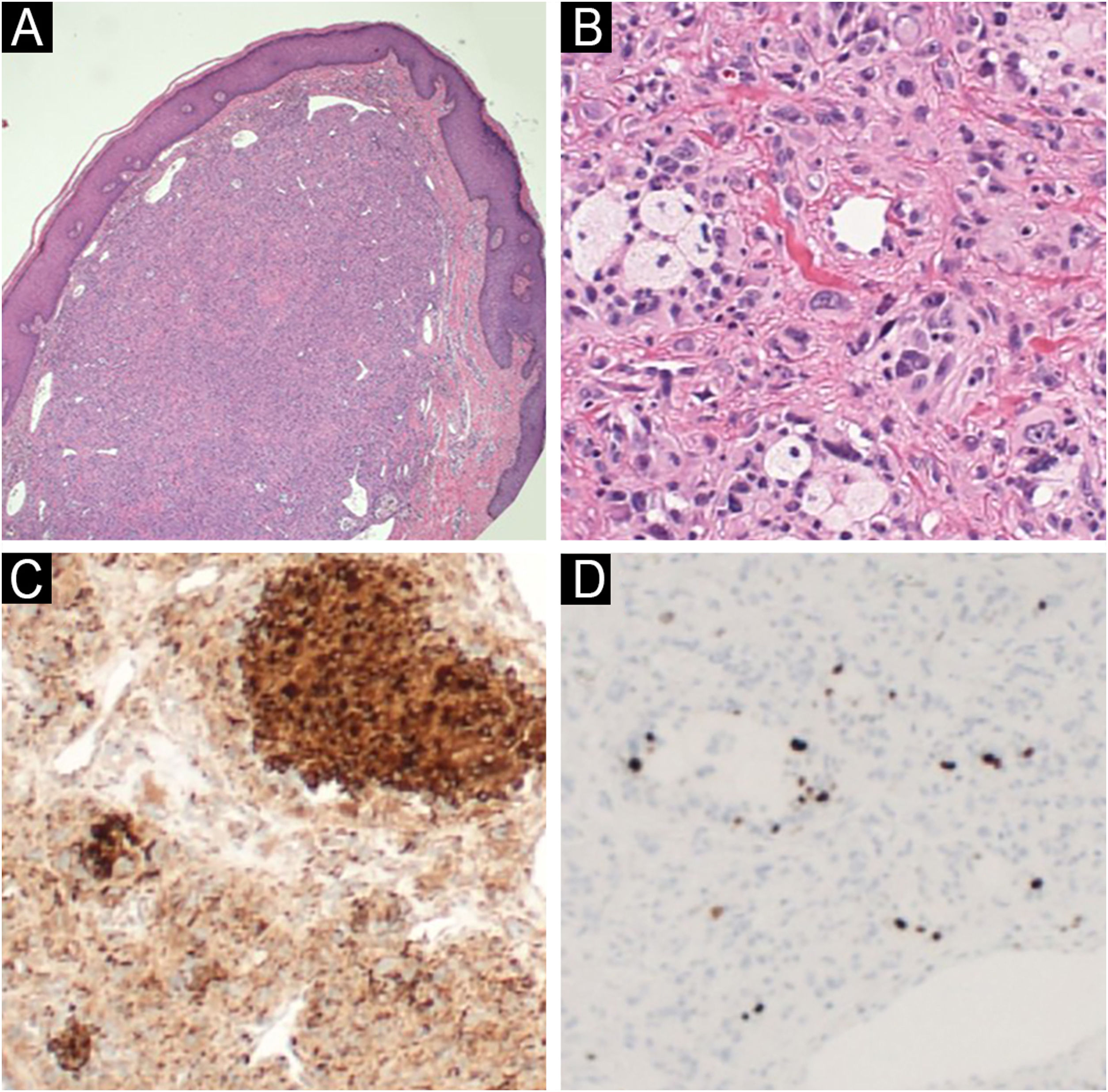 fig0010