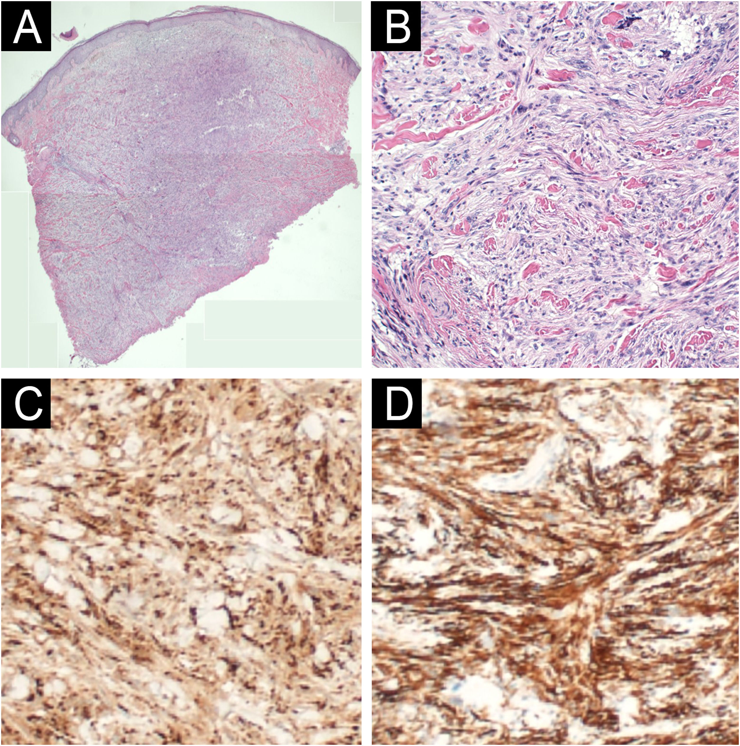 fig0020