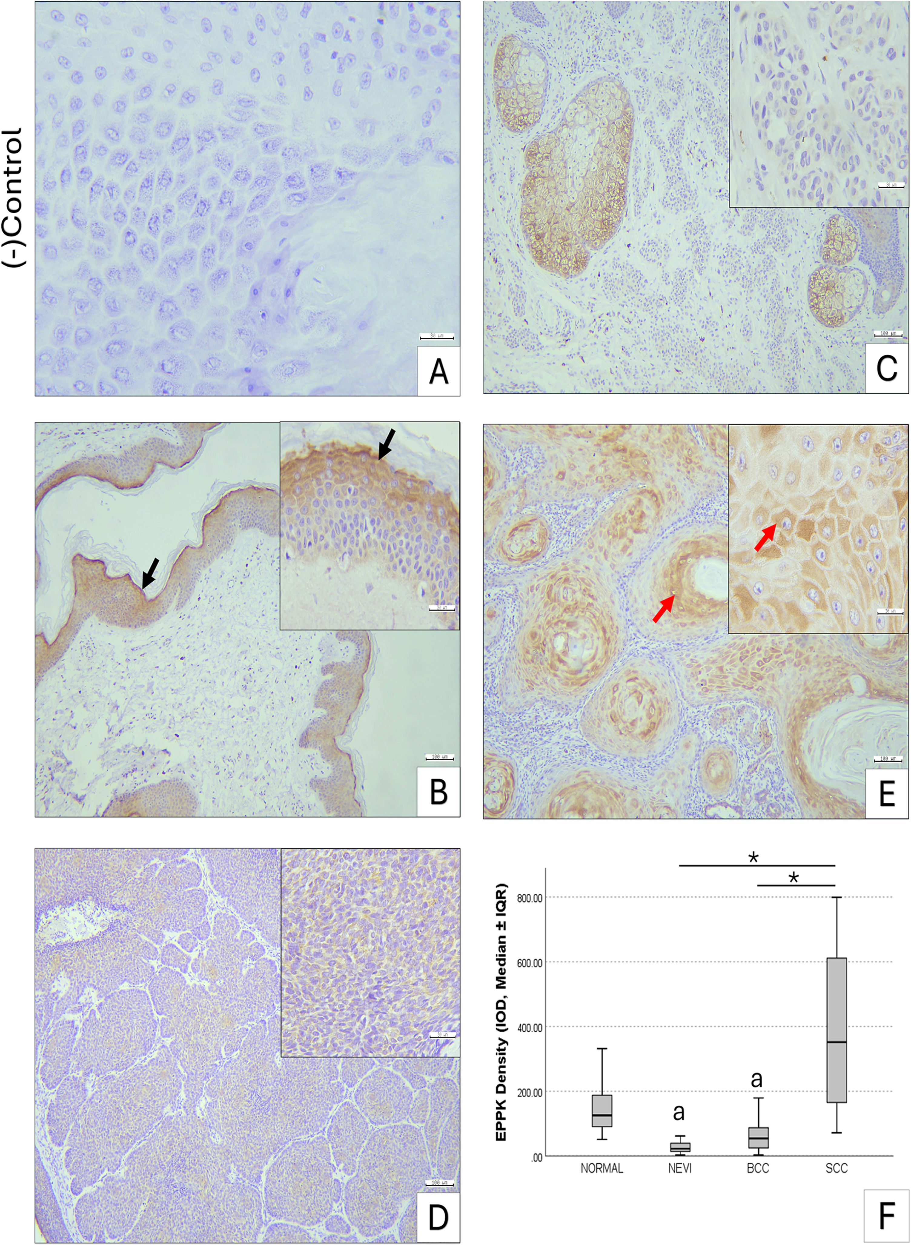 fig0010