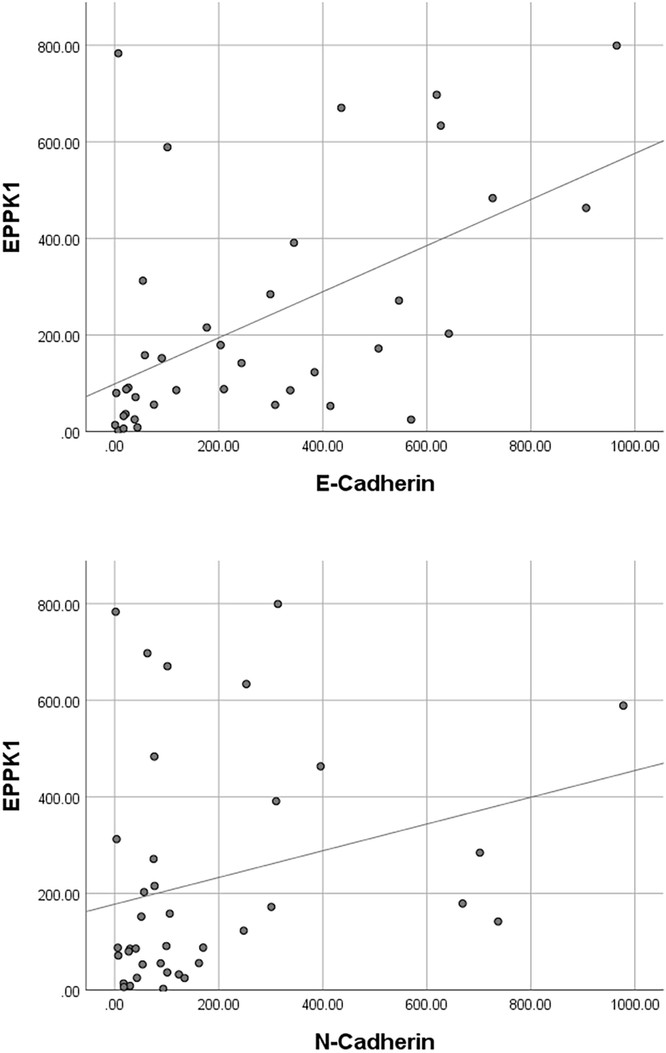 fig0025