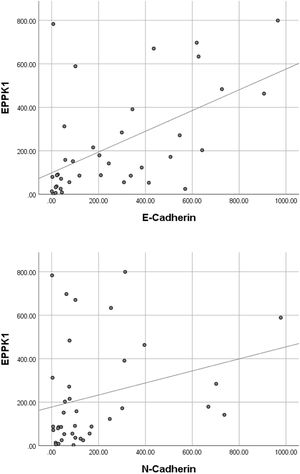 Scatter/dot graph of EPPK1 optical density versus E-cadherin and N-Cadherin optical density. Spearman