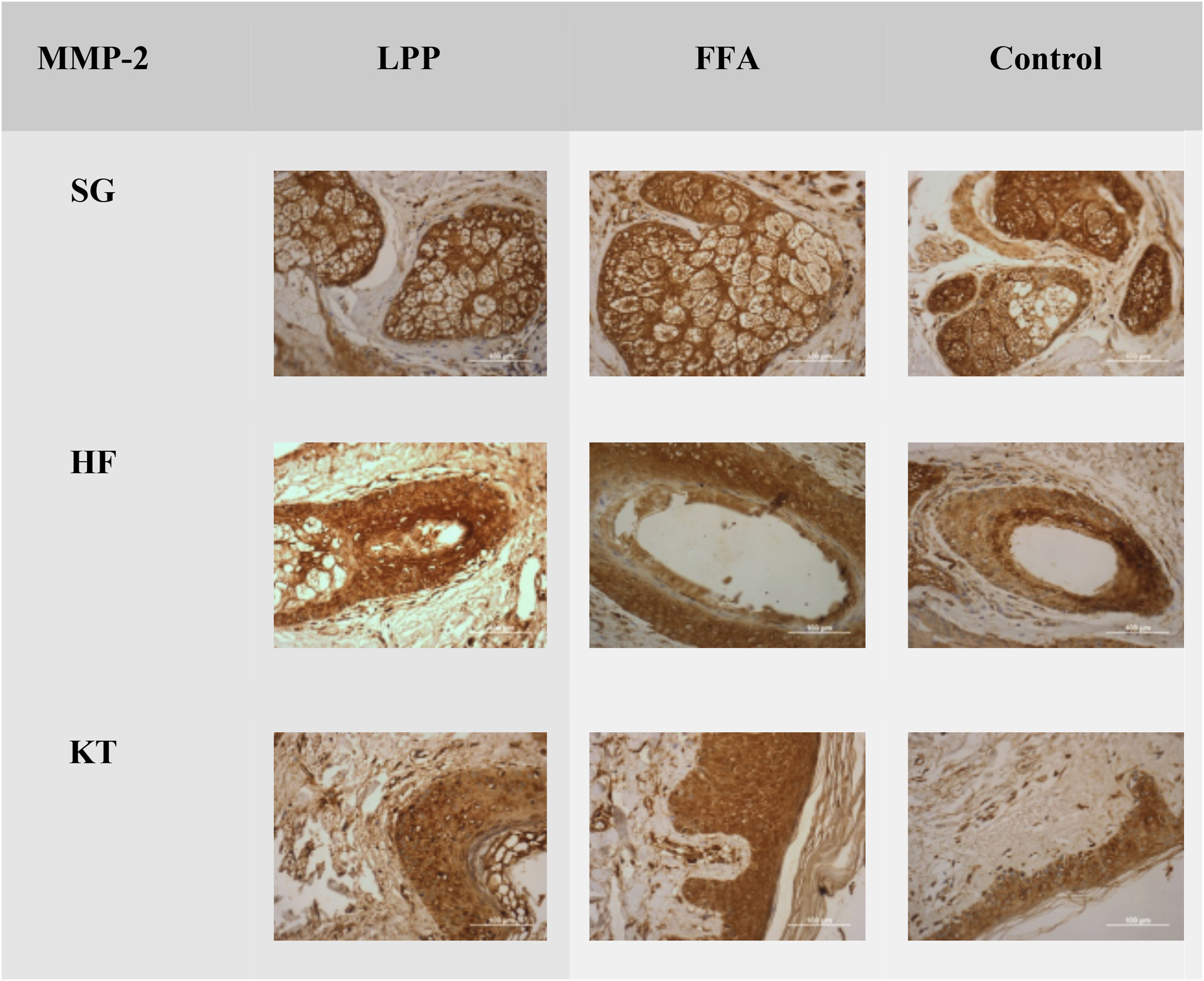 fig0010