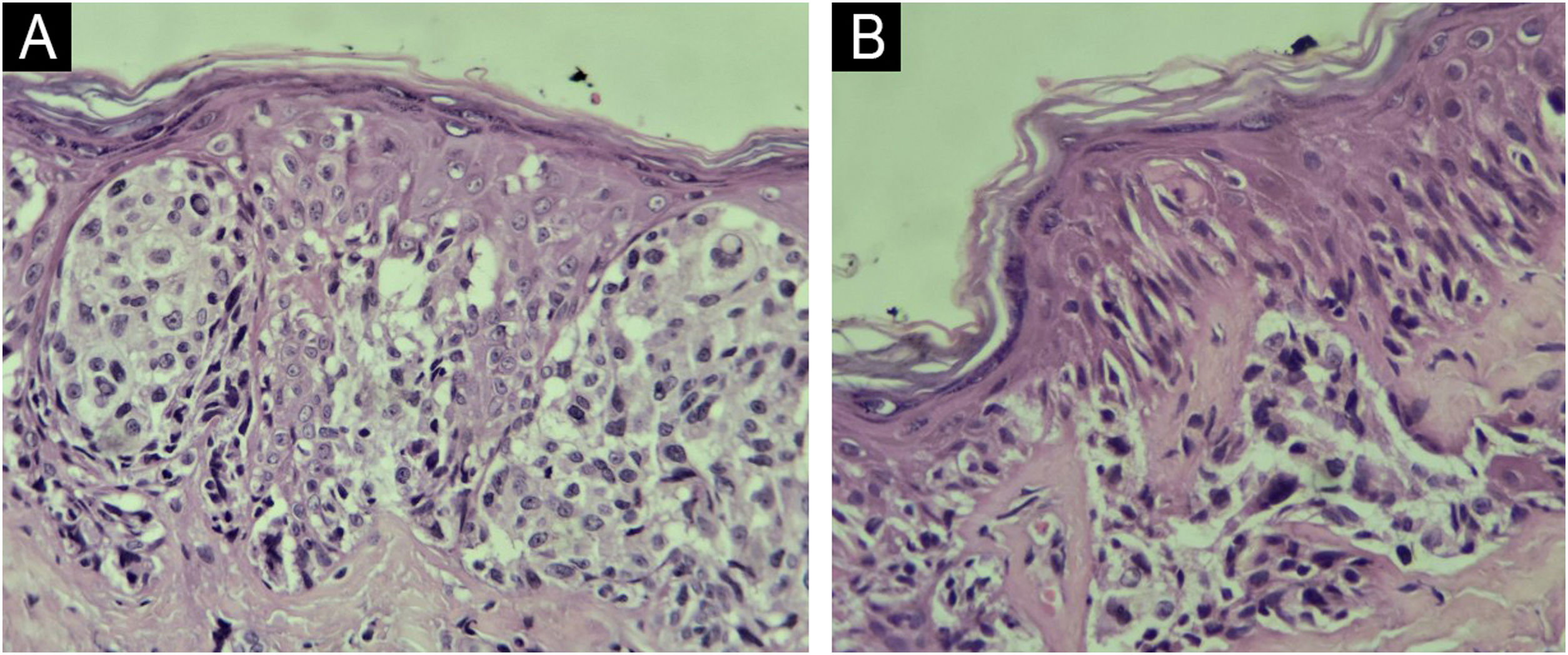 fig0015