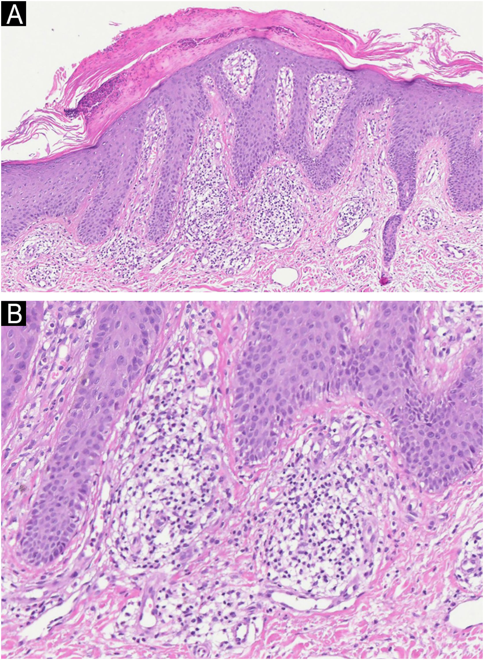 fig0010