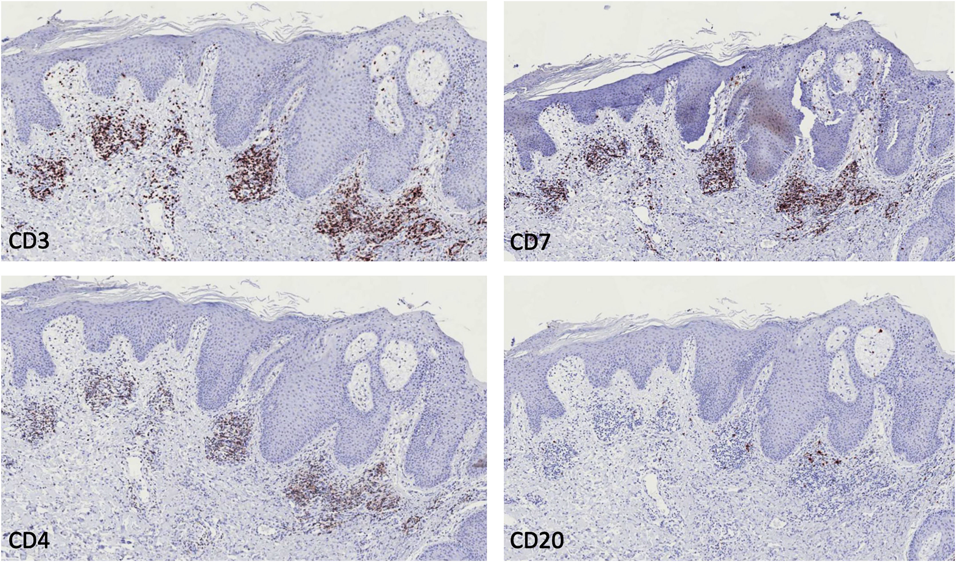 fig0015