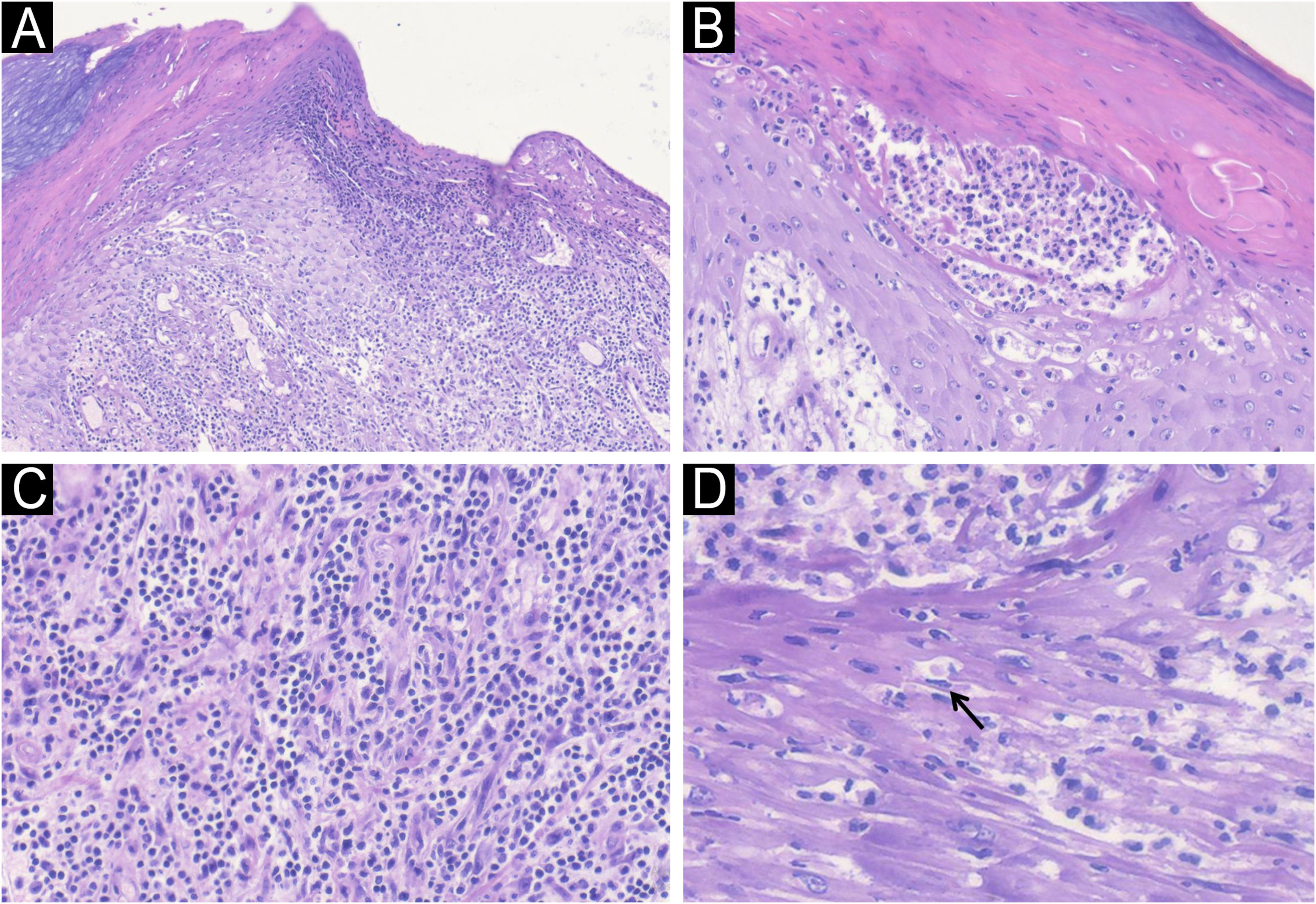 fig0015